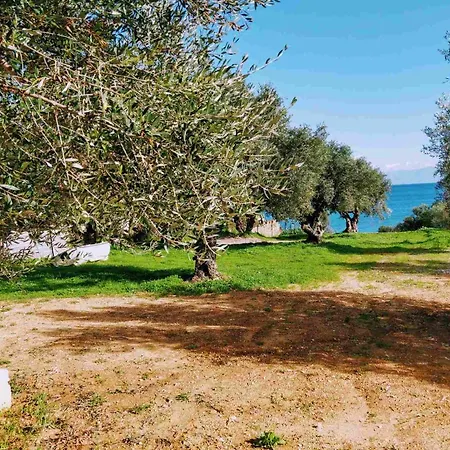 Sea Soon - Seaside By The Chrani